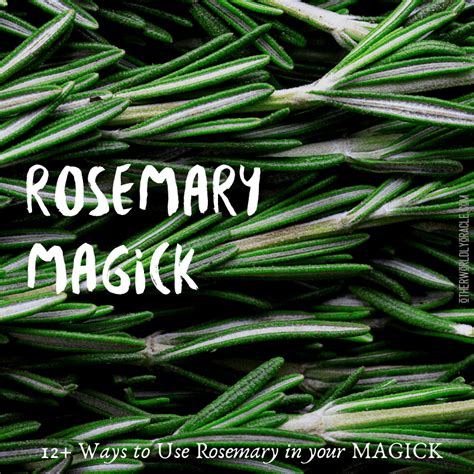 Rosematy magical uses